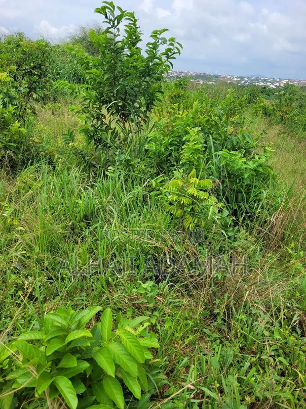 Land for Sale at Brofoyedro Ampemanim · Photo 7
