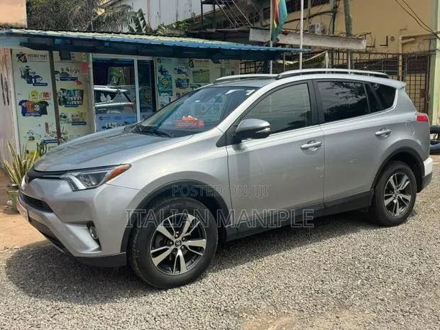 Toyota RAV4 XLE 4dr SUV AWD (2.5L 4cyl 6A) 2018 Gray · Photo 1