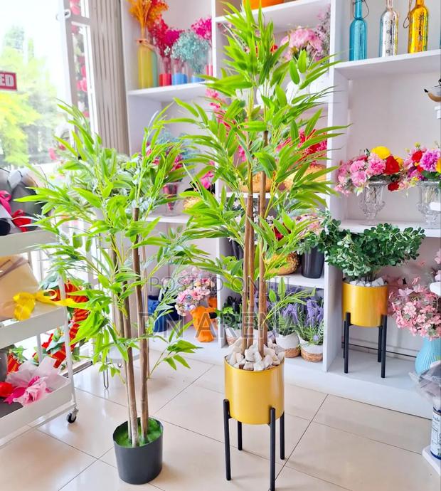 Bamboo Plant and Metallic and Gold Planter · Photo 1