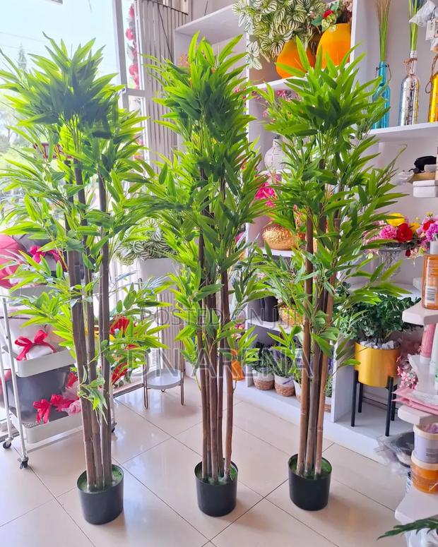 Bamboo Plant and Metallic and Gold Planter · Photo 2