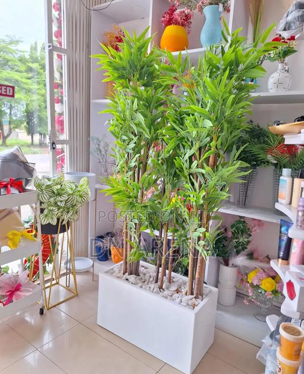 Bamboo Plant and Metallic and Gold Planter · Photo 3