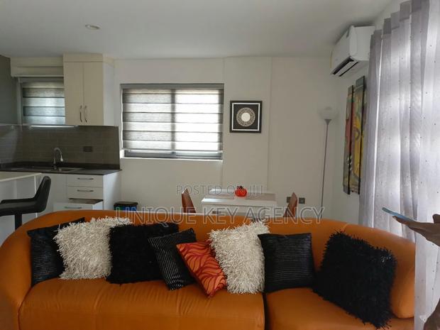 Furnished 1bdrm Apartment in Unique Key Agency, Celsbridge Area · Photo 6