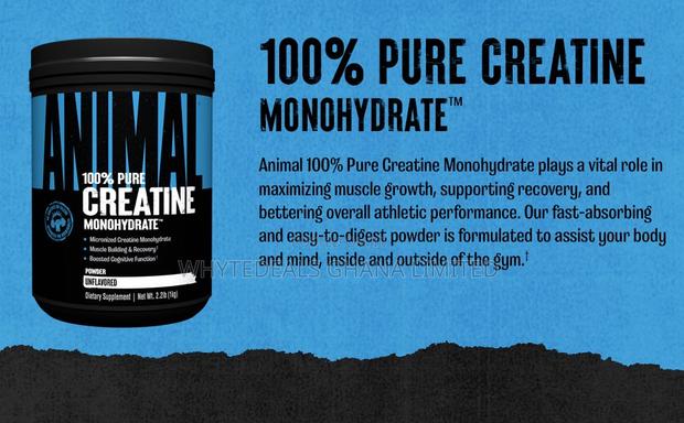 Animal Micronized Creatine–Enhance Endurance-Boost Strength · Photo 3