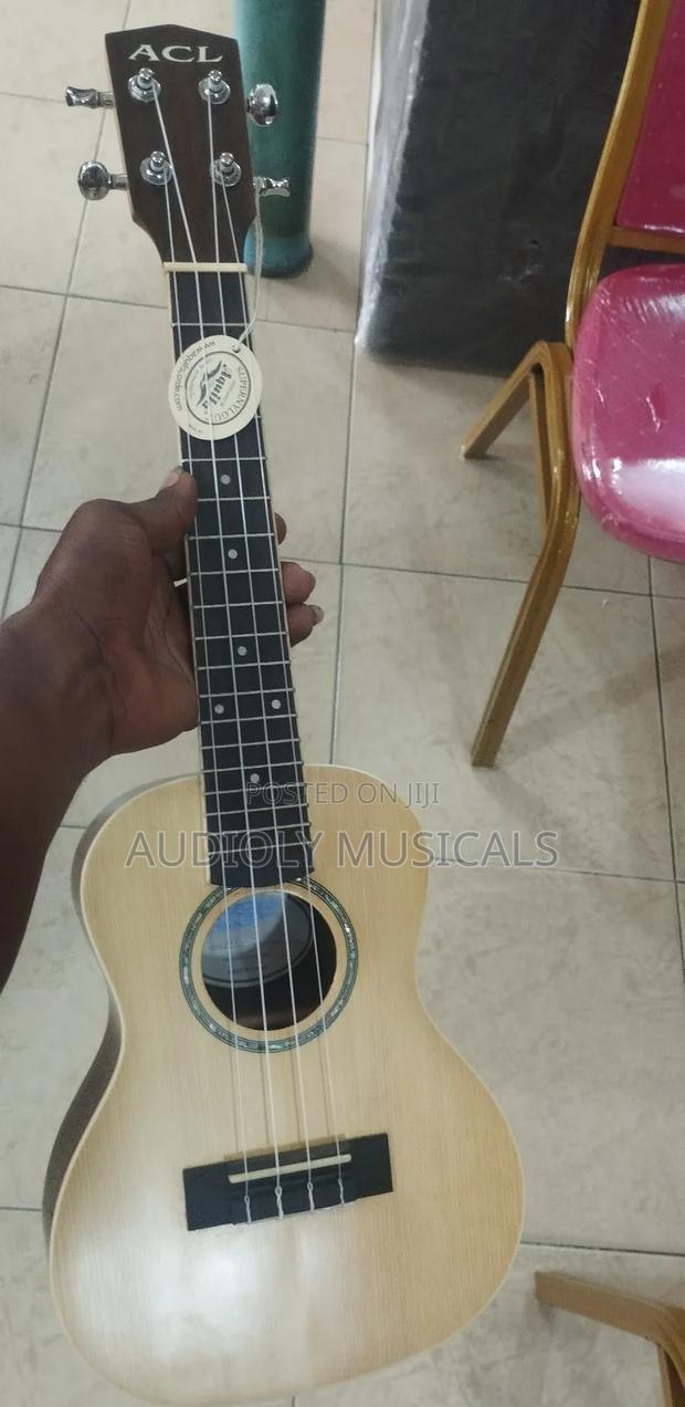 Acl Ukulele for Professionals · Photo 2