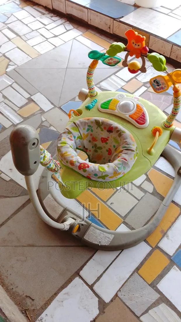 Canadian Used Baby Bouncer and Swing · Photo 1