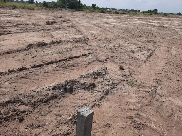 Serene Beach Road Plots at Prampram · Photo 1
