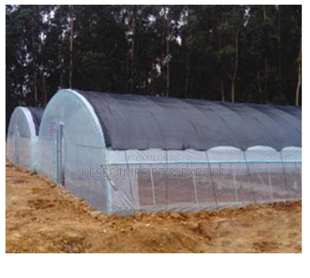 Green House - Imported · Photo 5