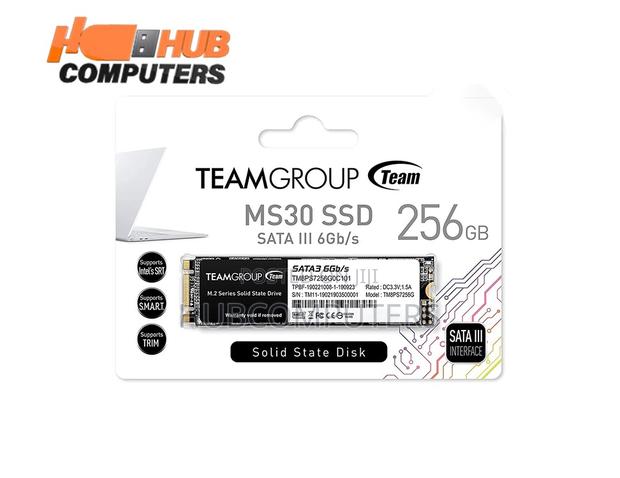 M.2 256GB Solid State Drive (SSD) · Photo 1