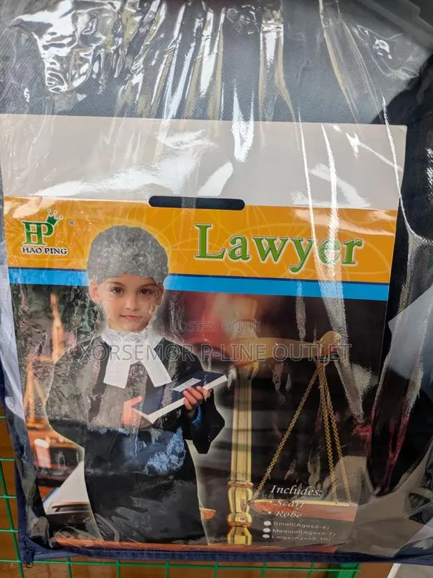 Law Court Lawyer · Photo 6