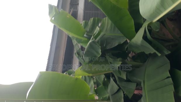 2 Plots of Land for Sale at Kaneshie · Photo 4