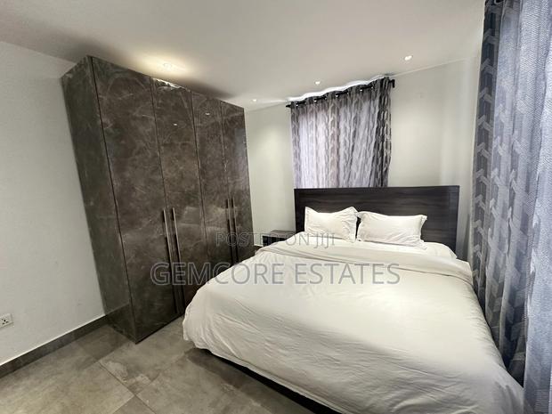 Furnished 2bdrm Apartment in Trasacco, East Legon for rent · Photo 8