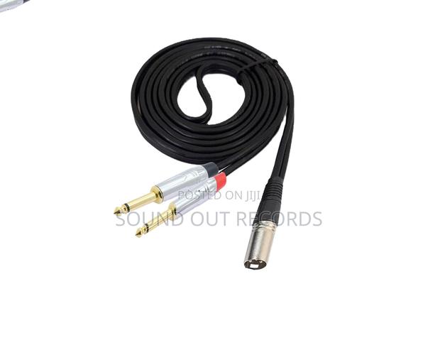 Dual 6.5mm Ts to Single 3.5mm/XLR TRS Cables · Photo 3