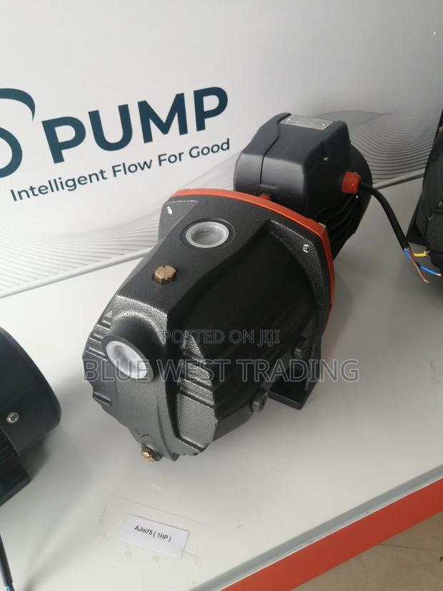 Leo Water Pump 1 Horsepower Cast · Photo 1