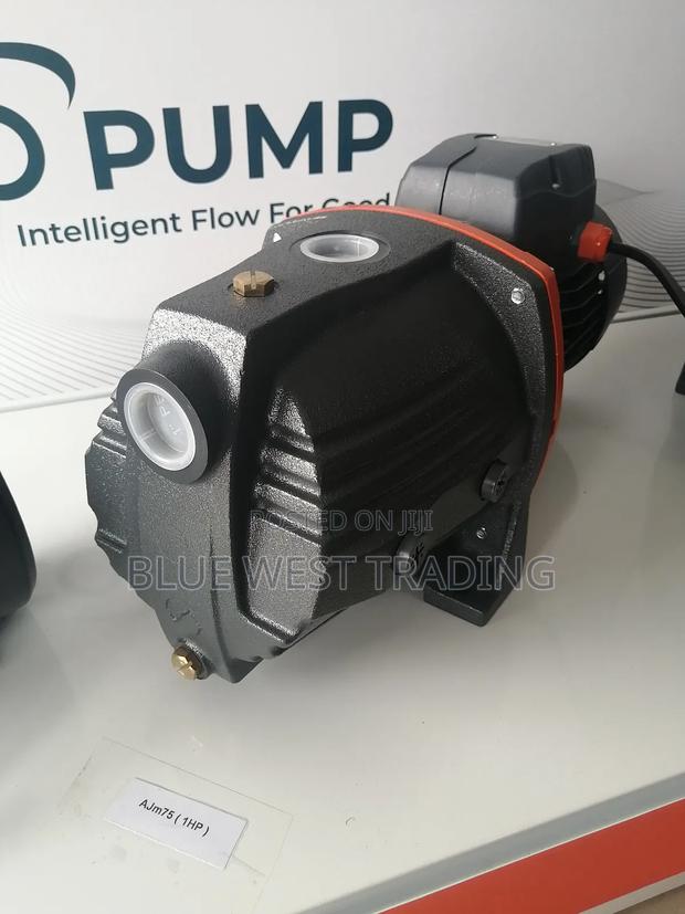 Leo Water Pump 1 Horsepower Cast · Photo 3