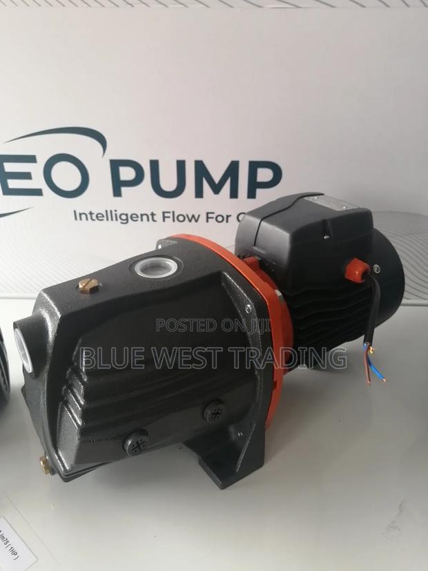 Leo Water Pump 1 Horsepower Cast · Photo 4