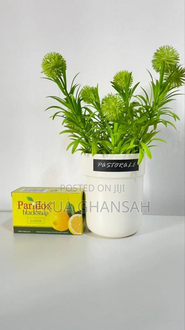 Paridox Black Soap · Photo 1