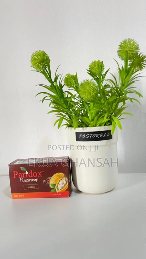 Paridox Black Soap · Photo 3