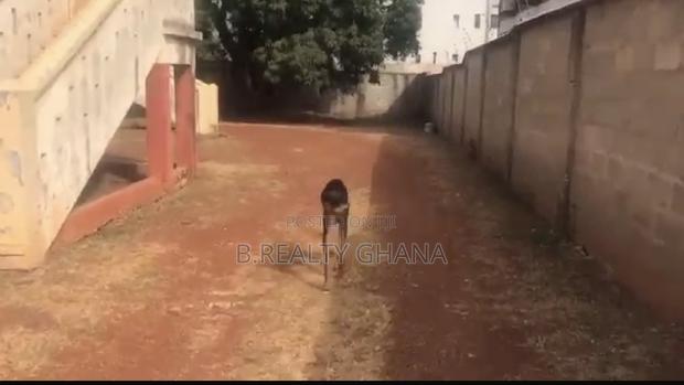 Prime 1 Acre of Land at Cantonment for Sale · Photo 4