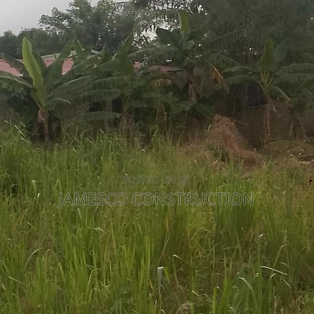 Farm Land for Sale · Photo 2