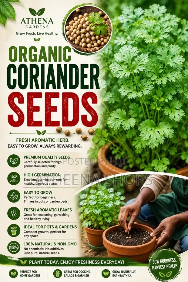 Coriander Seeds · Photo 1