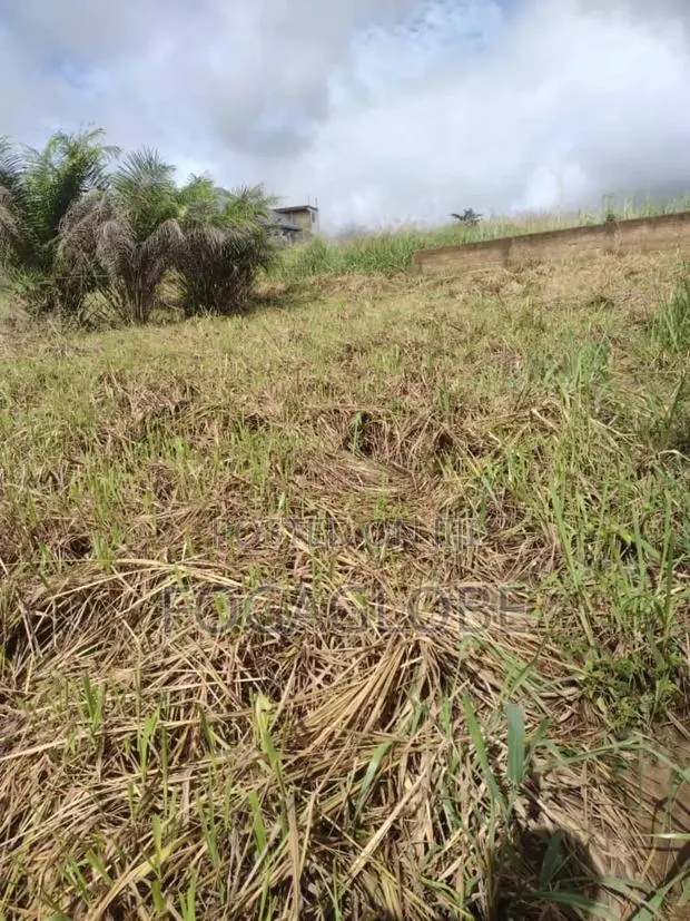 Residential Land · Photo 1