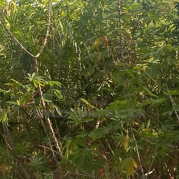 Farm Land for Sale · Photo 3