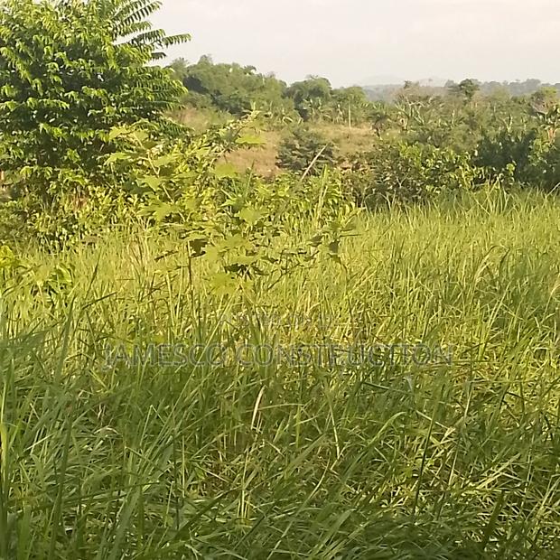 Farm Land for Sale · Photo 4