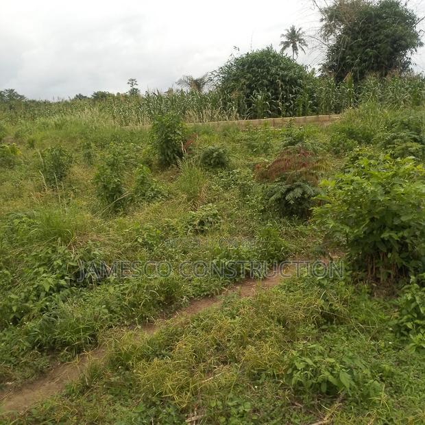 Residential Land for Sale · Photo 3