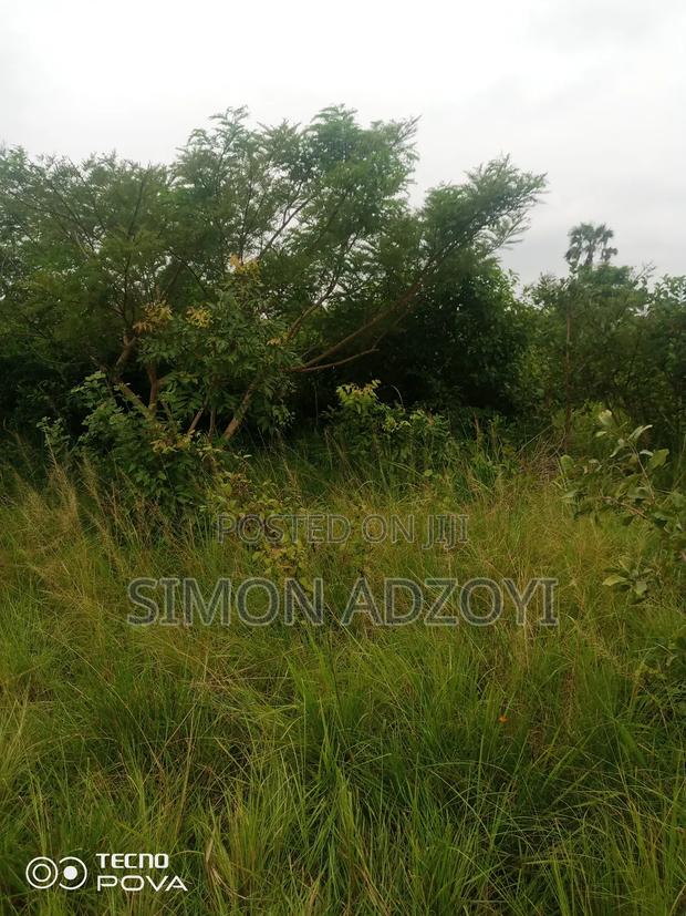 1000 Acres Available Farm Land For Sale · Photo 5