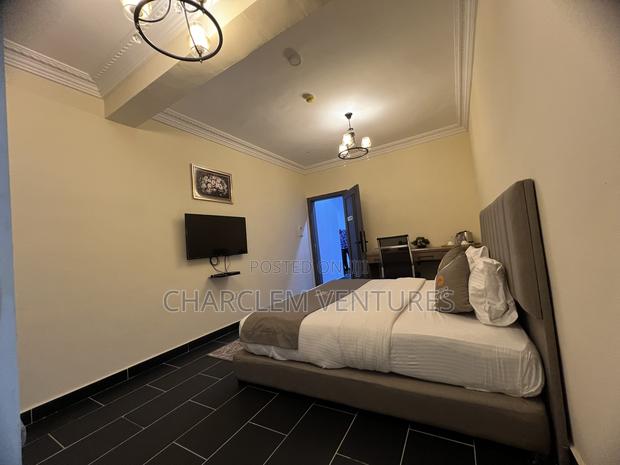 Furnished 1bdrm Apartment in Charclem Ventures, Kokomlemle for rent · Photo 3
