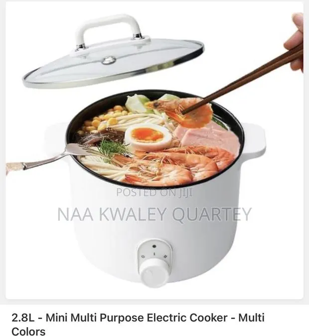 2.8l Electric Cooking Pot · Photo 1