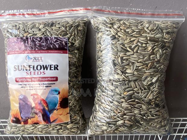 Sun Flower Seed · Photo 3