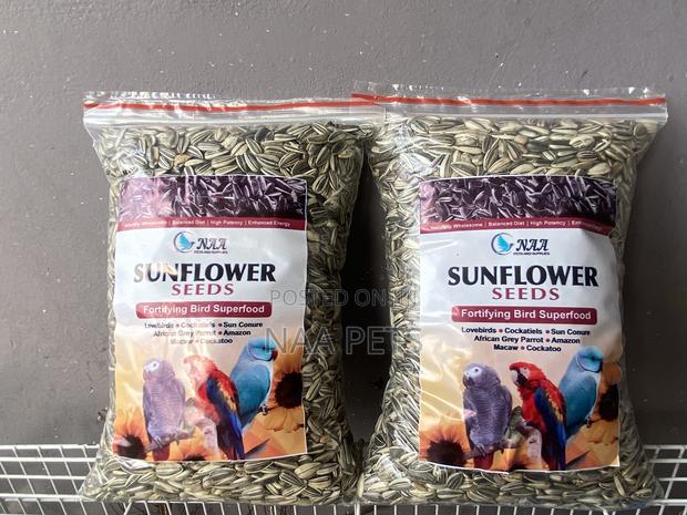 Sun Flower Seed · Photo 1