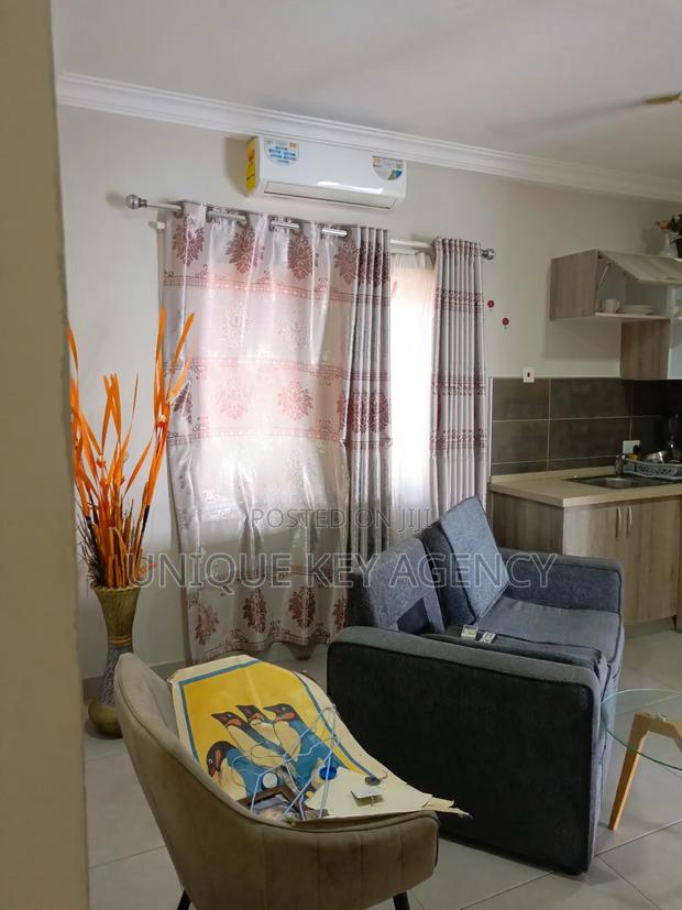 Furnished 1bdrm Apartment in Unique Key Agency, Tseaddo for rent · Photo 5