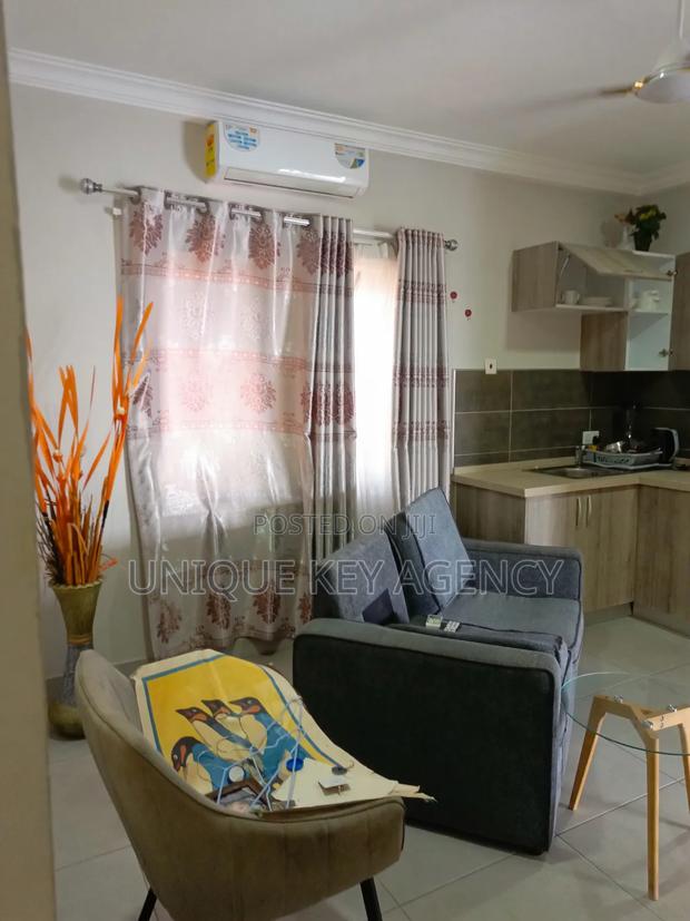 Furnished 1bdrm Apartment in Unique Key Agency, Tseaddo for rent · Photo 7