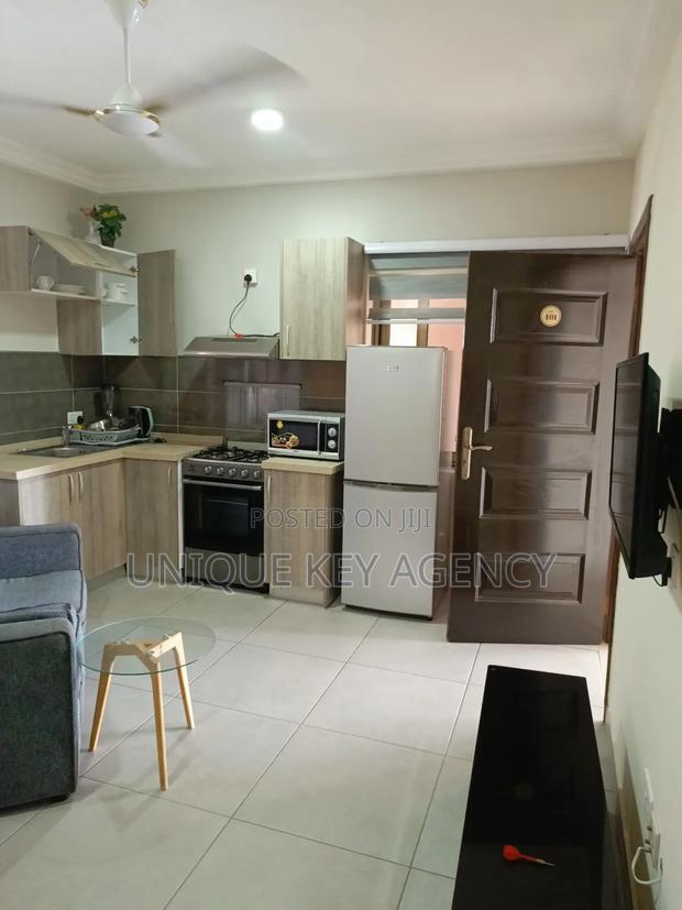 Furnished 1bdrm Apartment in Unique Key Agency, Tseaddo for rent · Photo 8