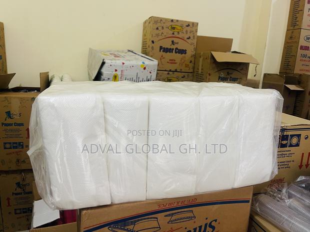 V- Fold Hand Paper Towels · Photo 6