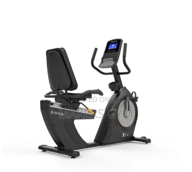 Recumbent Bike( Walk-Through) Commercial · Photo 2