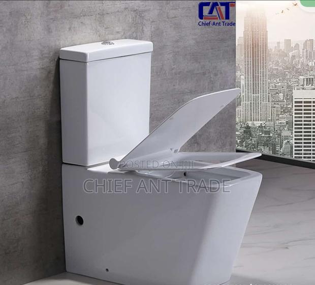 Slim Tank Toilet Seat Wc 309 · Photo 1