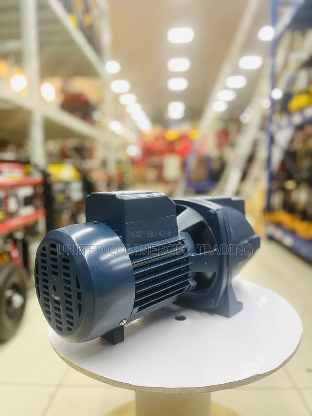 Water Pump (Luckypro 1.5HP) · Photo 2