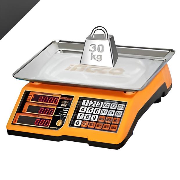 Lithium-Ion Scale 12v 30kg - Ces1301 · Photo 1