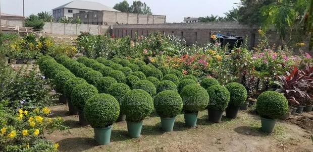 Masy Gardens N Landscaping · Photo 8
