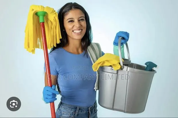 Male or Female Cleaner · Photo 1