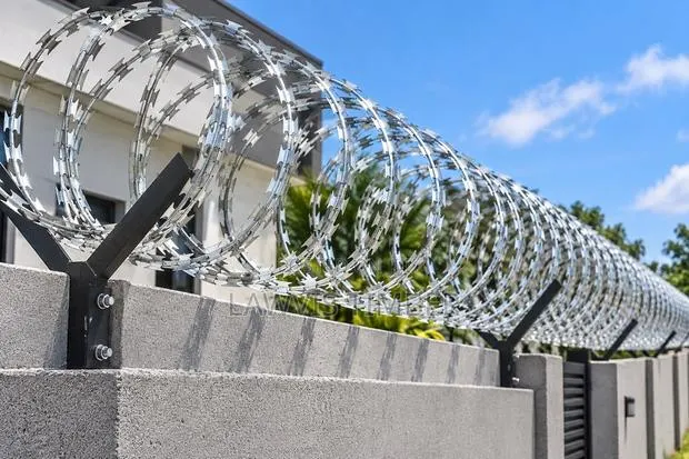 Galvanized Concertina Razor Wire · Photo 1