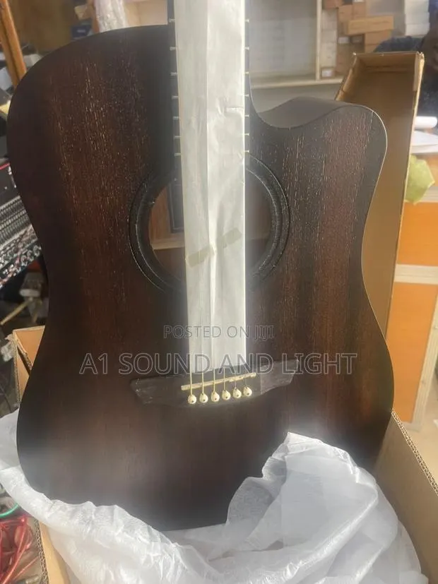 Strinberg Ge-50 Semi-acoustic Guitar - Free Pick · Photo 1