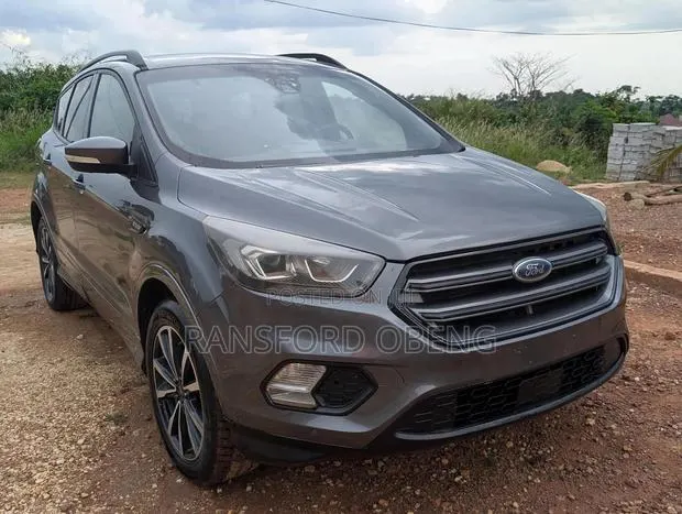 Ford Escape 2017 Gray · Photo 1