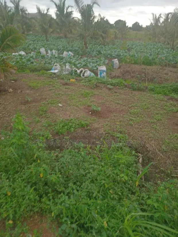 Alpha Properties Estate Land for Sale at Kasoa Akraman · Photo 1