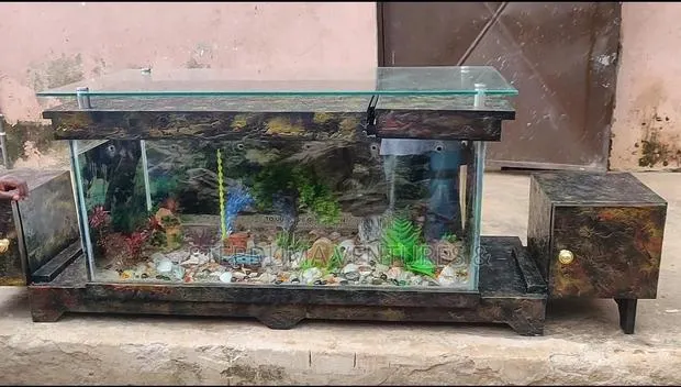 5ft+ Aquarium Tv Stand With 3 Free Fishes Feed · Photo 8