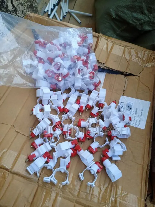 Chicken Nipples Without Cup Wholesale and Retail · Photo 1