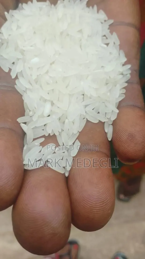 Paddy Available in Volta Ghana · Photo 1